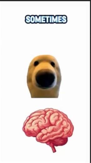 🐶 Doggie Explains Why Homework Is A Simulation Bug #funny #shorts