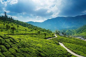 637K views · 10K reactions | Come with us as we explore Kerala - an...