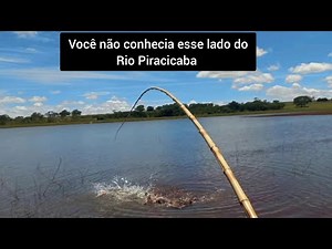 Da arrepio só de lembrar só pode ter sido um sinal do céu, veja que cardume enorme de gigantes