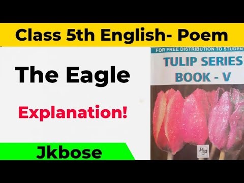 The Eagle Class 5th English Jkbose l Class 5th English Poem The Eagle Explanation l