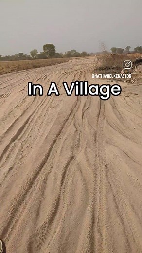 Part 1 of the house build series #homestead #homesteading #farm #syntropic