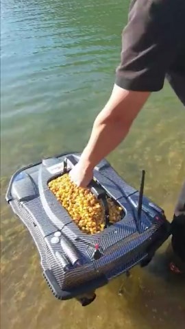 Masterful Bulk Fishing Techniques with Expert Fishermen