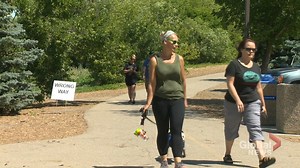 1.5K views · 17 reactions | WATCH: Pelicans are among the waterfowl returning to the popular area, with more of the large birds being spotted this summer. Daniella Ponticelli has more on what's to see in and around Wascana Lake. READ MORE: https://globalnews.ca/news/7181924/regina-wascana-park-summer-2020/ | Global Regina | Facebook