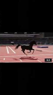 usain bolt vs horse vs cheetah vs kangaroo comparison