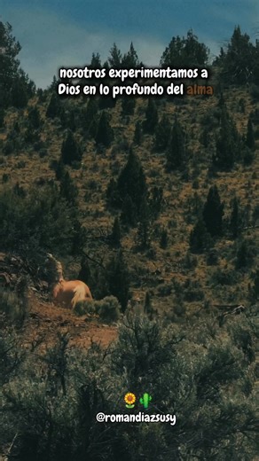 1.9K reactions · 319 shares | ꧁⦇퐬υ퐬ψ⦈꧂ @퐫퐨퐦퐚퐧퐝퐢퐚퐳퐬퐮퐬퐲 #퐝퐢퐨퐬 #퐚퐦퐨퐫퐲퐜퐚퐛퐚퐥퐥퐨퐬 #퐦퐞퐚퐦퐨 #퐝퐢퐨퐬퐟퐞퐚퐦퐨퐫 #퐬퐮퐞ñ퐚퐱퐯퐢퐯퐢퐫_⏳ | Susy Román | Facebook