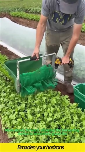 Operation of vegetable harvesting machines #Various process operations