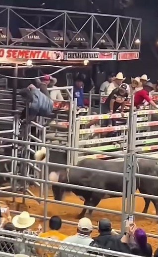 🔥 Epic Bullfighting Highlights | Intense Moments Caught on Camera! 🐂💥 #Shorts