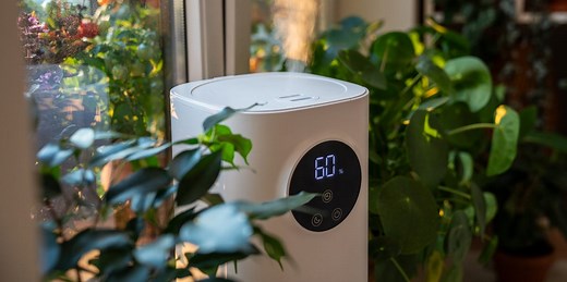 THIS Common Home Problem May Be the Reason You're Getting Sick This Winter, Experts Say