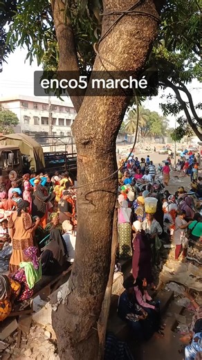 Vidéos de ODIS-KA 224🇬🇳 (@odis_ka_224) avec son original - funnyvideo