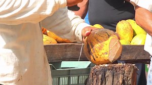 地球大惊奇 Destination World 中文字幕