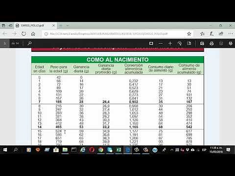 UNIFORMIDAD DE PESOS EN POLLO DE ENGORDE