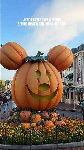 It's Almost Here!!!