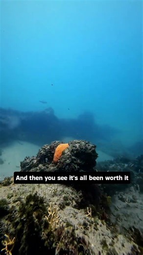 The first step to get clean is the hardest. Ask me how to do it! #sobercoach #soberlife #recovery