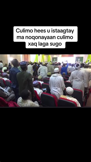 Maxa laga filan karaa dadka la rabay in ee ummad hogaamiyaan hadana hankoodii diineed iibsaday? #somalitiktok #foryou #foryoupage