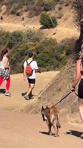 PRACTICE make excellent not CREATINE or protein shakes | Tak_method