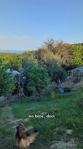 224K views · 10K reactions | No bine, deci… Nu cred că viața de...