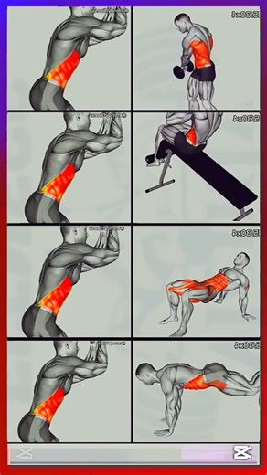 body b Boost your engine at home,#energy#booster #workout #shorts Pelvic Mobility+Fix posture fiat