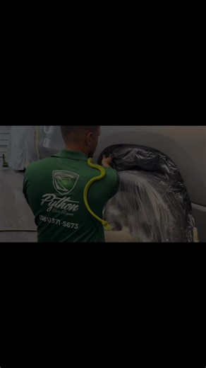 Trust the process. Trust the Python. 🐍 #localbusines #viral #snake #automotive #foryourpage