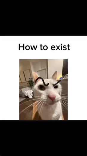 How to exist tutorial 😃 #tutorial #exist #cat #fyp | cat standing
