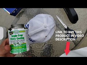 The Horse Fly Trap THAT ACTUALLY WORKS - DIY