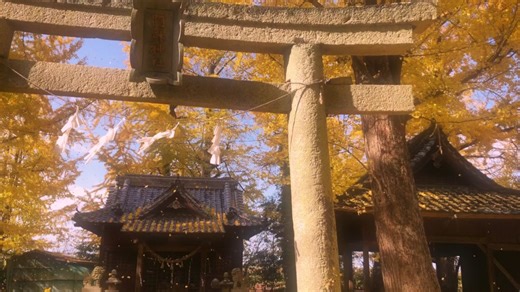 美しい紅葉の風景と癒しの瞬間