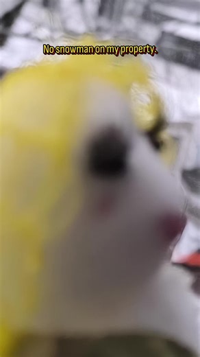 Discover Who Is This Baddie - Addison Rae Fun Meme