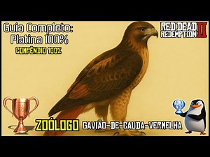 Red Dead Redemption 2: Gavião de Cauda Vermelha + Compêndio 100% | Troféu Zoólogo