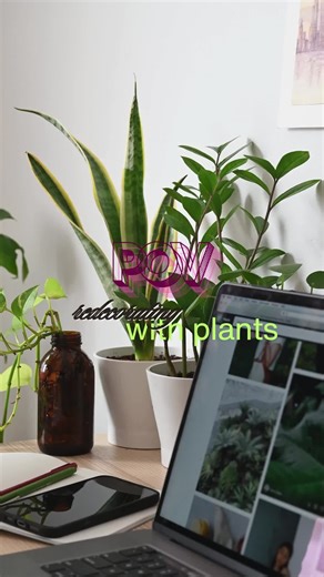 Transform your space with the perfect living room plants decor! 🌿✨ From sleek plant arrangement styles to a cozy jungle vibe, find the best look for your home. Need a decor inspiration guide? Here’s how to style your indoor greenery for the ultimate living space aesthetics! Which one is your fave? 👇💚 #livingroomdecor #plantdecor #indoorplants #indoorgreenerytips #homestyle