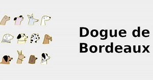 Dogue de Bordeaux (Dog breed traits) 🐶 2022