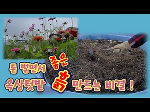 What is the best soil for a rooftop garden? The secret to making the best soil for your garden