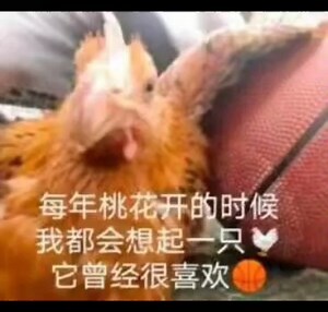 简化注册PS账号