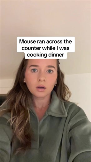 Mouse Encounter While Cooking: A Dinner Surprise