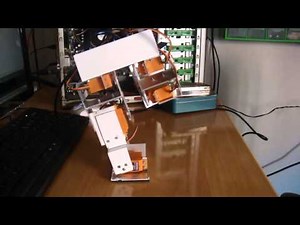 Arduino Project Biped Robot equilibred