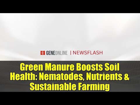Green Manure Boosts Soil Health: Nematodes, Nutrients & Sustainable Farming