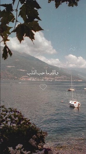 اه من عيناه اصاله
