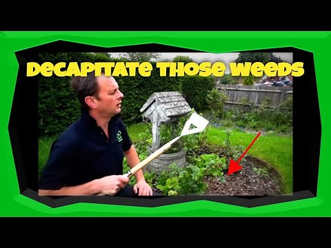 How to kill Weeds with a Dutch Hoe