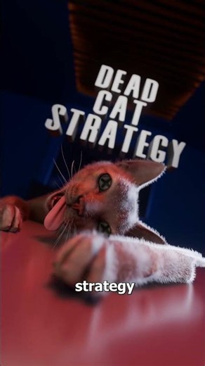 What Is The Dead Cat Strategy 🤨