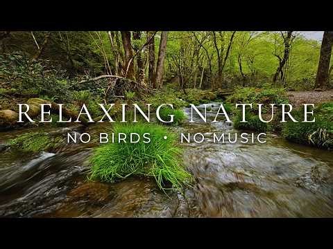 10 Hours of Natural River Sounds (Deep Sleep & Focus)