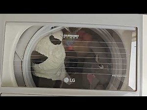 Cleaning of Soft Toys in LG Washing Machine