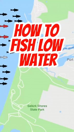 423K views · 1.4K reactions | We are in severe drought conditions and that means low water which makes fish not want to move. Here are is what you can do to fish low water. | Salmon River Newbie | Facebook