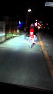 南河内 コール バブ