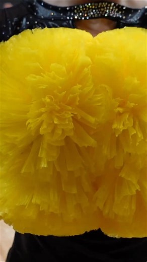 2026 𝐔𝐃𝐀 𝐍𝐀𝐓𝐈𝐎𝐍𝐀𝐋𝐒 𝐏𝐎𝐌 𝐏𝐑𝐄𝐕𝐈𝐄𝐖… 🙌🤭 #gojacksdance #udanationals | SDSU Dance Team