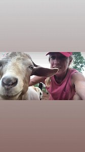 40 reactions · 6 comments | Not many people realise how affectionate...