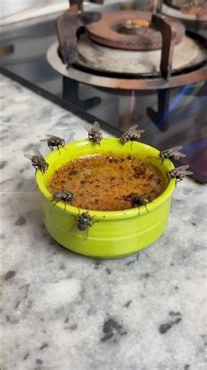 How to Get Rid of Fruit Flies Naturally | Easy Homemade Fruit Fly Trap