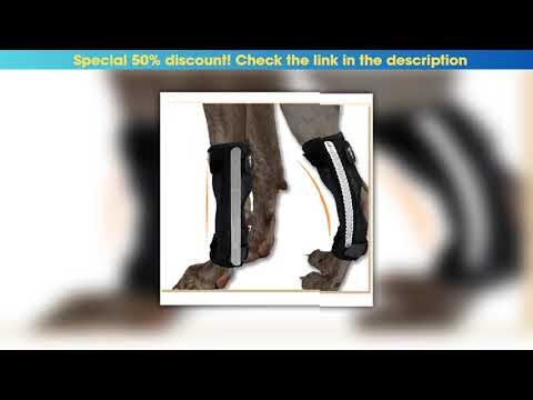 Must Buy Dog Leg Protector Pet Arthritis Knee Protector Fracture Fixation Splint Cat Dog Post-Opera
