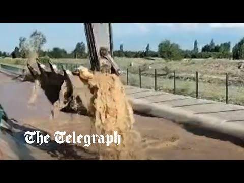 Cow saved from drowning by skilled digger operator