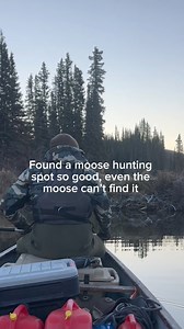 81K views · 340 reactions | Seriously though, there’s got to be a big bull moose hanging out somewhere. Better spend 3 days here just to be safe. Man, I’m getting good at this. #moosehunting #YukonUnguided #hunting #huntingseason #moose #hunt | Yukon Unguided | Facebook