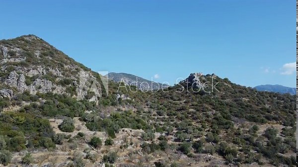 Mediterranean flora. Olive trees and almond trees in aegean region. Maquis in the mountains of mediterranean region.