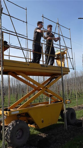 🌤️ 𝗠𝗼𝗼𝗶 𝘄𝗲𝗿𝗸 𝗶𝗻 𝗱𝗲 𝗯𝘂𝗶𝘁𝗲𝗻𝗹𝘂𝗰𝗵𝘁 𝗯𝗶𝗷 𝗩𝗮𝗻 𝗞𝗲𝘀𝘀𝗲𝗹 Met dit mooie weer zijn we volop buiten aan het werk. Op het perceel bij Van Kessel zijn we bezig met het inbinden van de rekken. Een nauwkeurig karwei waarbij we zorgen dat de bomen strak en goed begeleid verder kunnen groeien. Alles draait om opbouw, stabiliteit en een verzorgde vorm – nu én in de toekomst. Buiten werken, met zicht op het resultaat. Daar doen we het voor. #vanKessel #inbinden #vormbomen #boomkwek