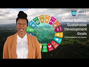 Master Guide: The 17 SDGs Explained Step by Step (2030 Agenda)